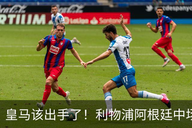 皇马该出手了！利物浦阿根廷中场续约遇阻，6号位能否助穆里尼奥